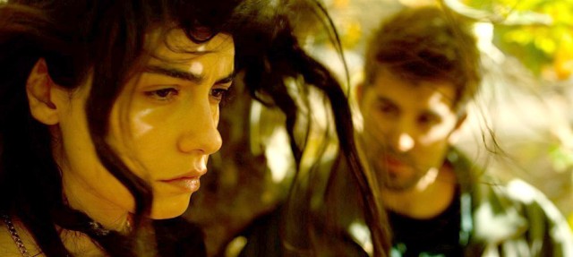 Ahlat Ağacı Fotoğrafı