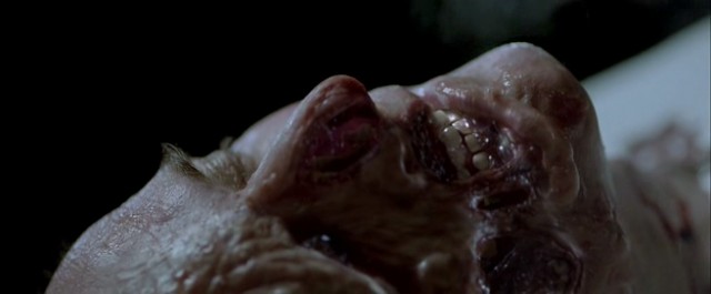 Gir Kanıma fotoğrafı