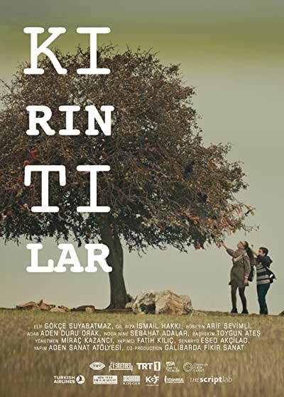 Kırıntılar (2016) afişi