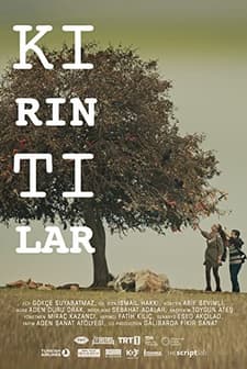 Kırıntılar (2016) afişi