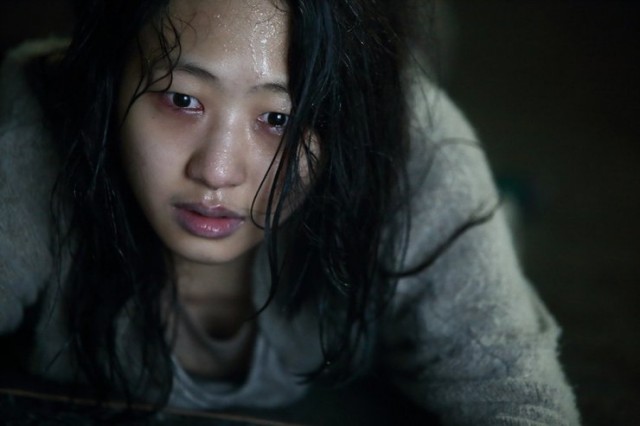 Hide and Never Seek Fotoğrafı