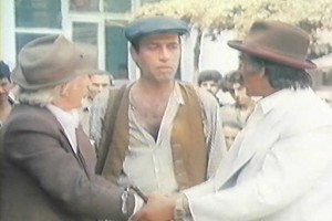 Şark Bülbülü fotoğrafı