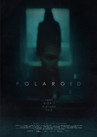 Polaroid (2015) afişi