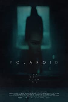Polaroid (2015) afişi