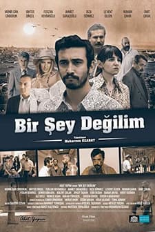 Bir Şey Değilim (2016) afişi