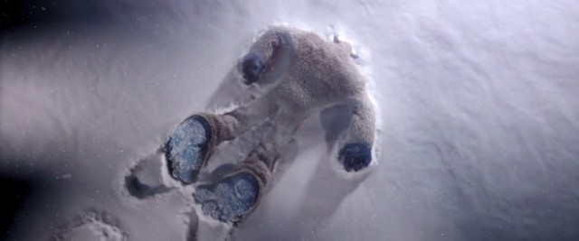 Küçük Ayak Fotoğrafı