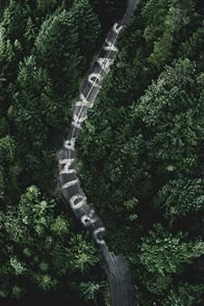 Ordinary Days (2017) afişi