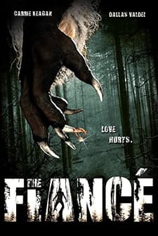 The Fiancé (2016) afişi