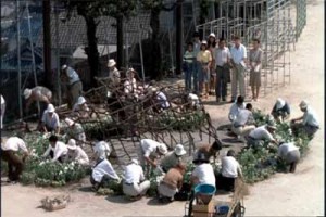 Ağustos'ta Rapsodi Fotoğrafı