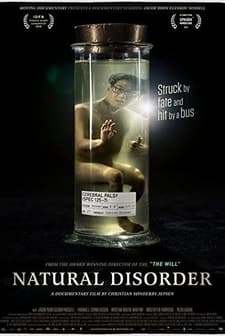 Doğal Düzensizlik (2015) afişi