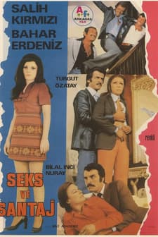 Seks Ve Şantaj (1975) afişi
