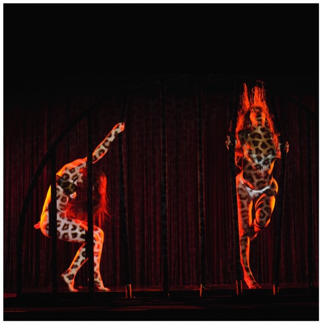 Beyoncé fotoğrafı