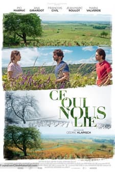 Aile Bağı (2017) afişi