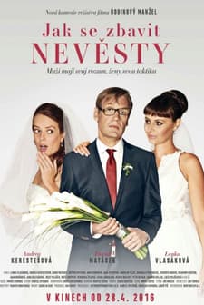 Jak se zbavit nevesty (2016) afişi