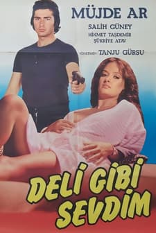 Deli Gibi Sevdim (1976) afişi