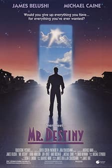Mr. Destiny (1990) afişi