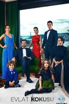 Evlat Kokusu (2017) afişi