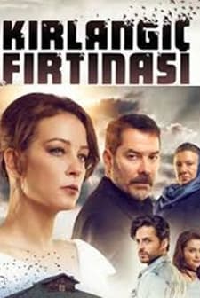 Kırlangıç Fırtınası (2017) afişi