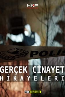 Gerçek Cinayet Hikayeleri (2015) afişi