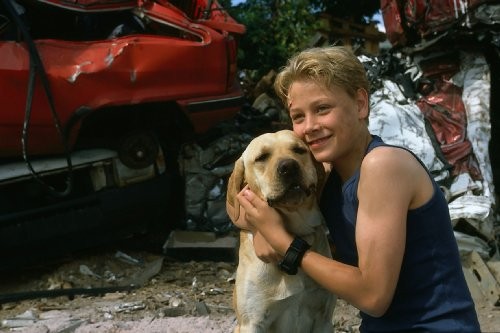 Zwei Allein Fotoğrafı