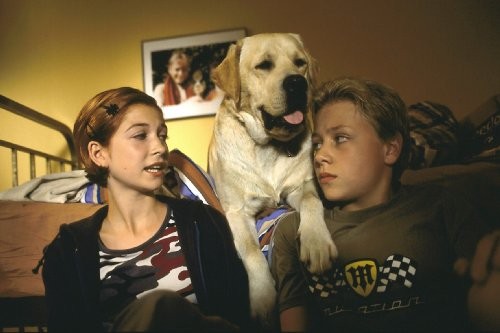 Zwei Allein fotoğrafı