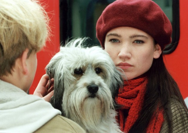  Ein Weihnachtsmärchen - Wenn alle Herzen schmelzen fotoğrafı