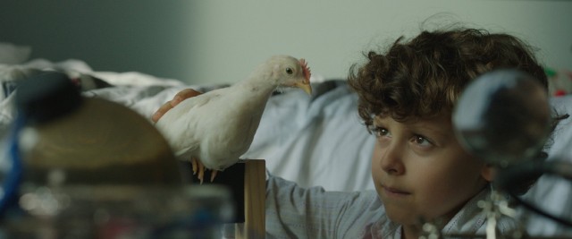 Extra Terrestres fotoğrafı