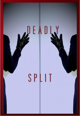 Deadly Split (2017) afişi