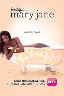Being Mary Jane (2013) afişi