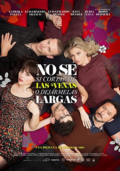 No sé si cortarme las venas o dejármelas largas (2013) afişi
