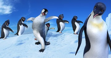 Neşeli Ayaklar Fotoğrafı