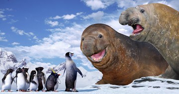 Neşeli Ayaklar Fotoğrafı