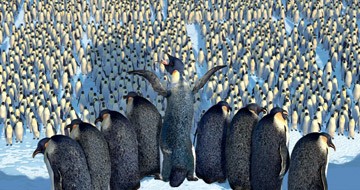 Neşeli Ayaklar Fotoğrafı