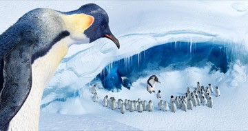 Neşeli Ayaklar Fotoğrafı