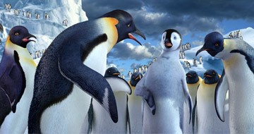 Neşeli Ayaklar fotoğrafı