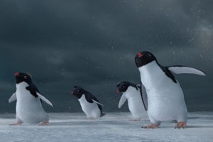 Neşeli Ayaklar Fotoğrafı