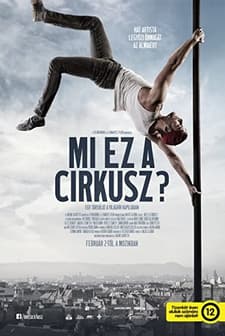 Mi ez a cirkusz? (2017) afişi