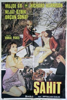 Şahit (1978) afişi