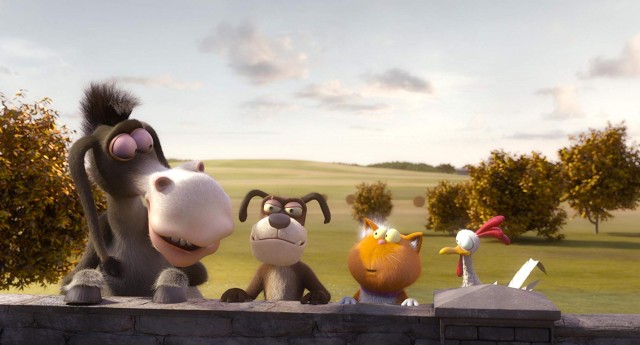 Ajan Kedi Fotoğrafı