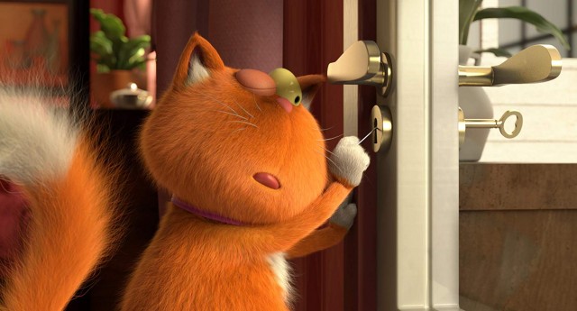 Ajan Kedi Fotoğrafı