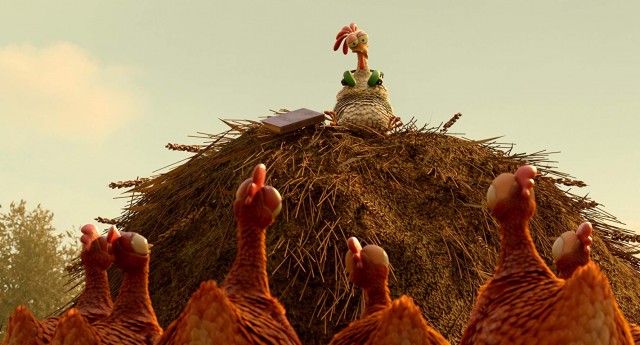 Ajan Kedi Fotoğrafı