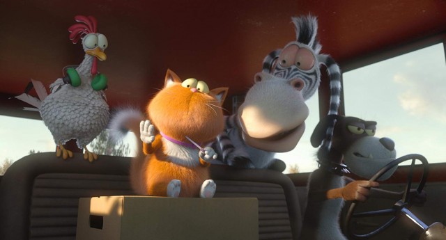 Ajan Kedi Fotoğrafı