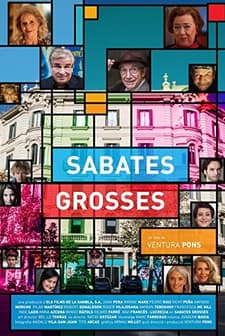 Sabates grosses (2017) afişi