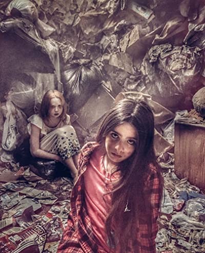 Landfill (2017) afişi