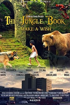 The Jungle Book: Make-A-Wish (2016) afişi