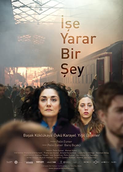 İşe Yarar Bir Şey (2017) afişi