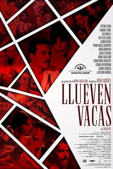 Llueven vacas (2017) afişi