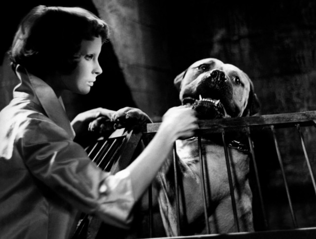 Les yeux sans visage Fotoğrafı