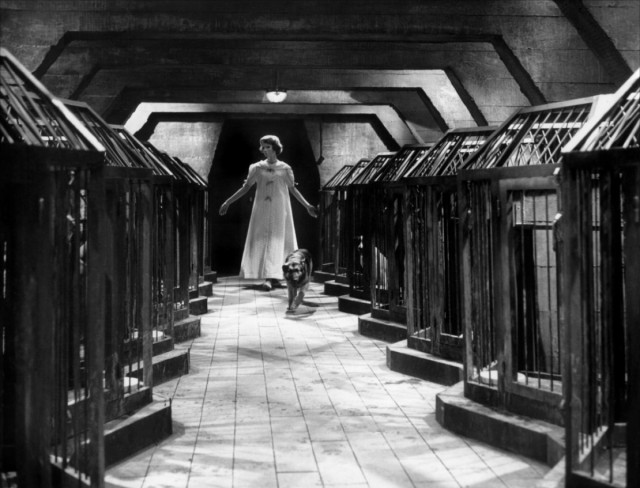 Les yeux sans visage Fotoğrafı