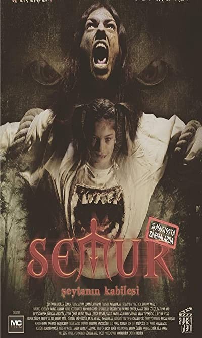 Semur (2017) afişi
